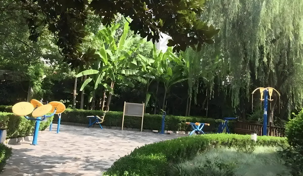 深圳积分入户什么条件_电影《南京照相馆》票房破4亿 的能当需要力相双方